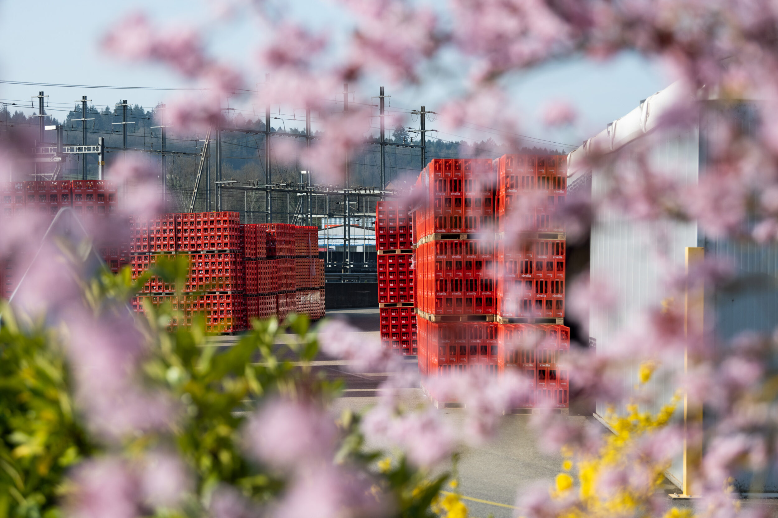 Über uns Rivella Group